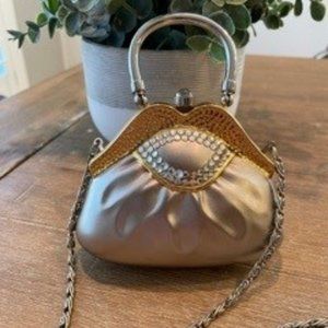 Daniella Metal Silver, Gold, & Crystal Hard Purse